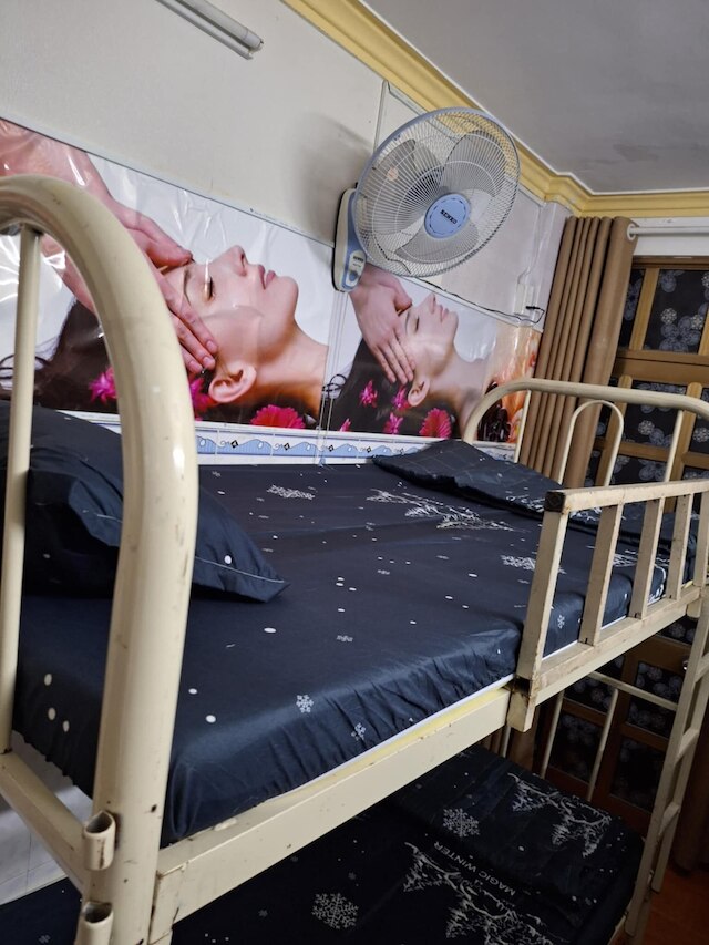 マイ マイ ホステル ホームステイ