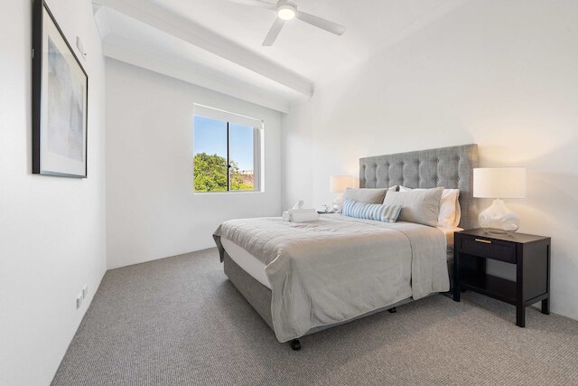 キャンパーダウン コージー コーナー 8