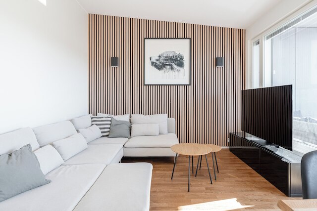 ラグジュアリー 1ベッドルーム ペントハウス ウィズ バルコニー