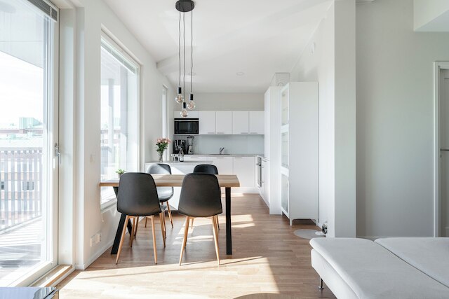 ラグジュアリー 1ベッドルーム ペントハウス ウィズ バルコニー