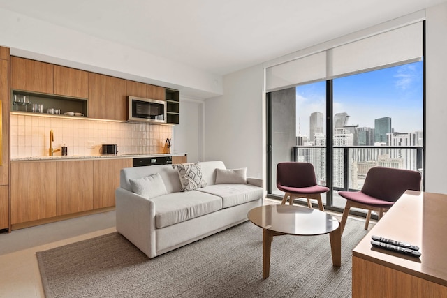 ベイサイド ブリーズ ダウンタウン ラグジュアリー タワー プール ジム