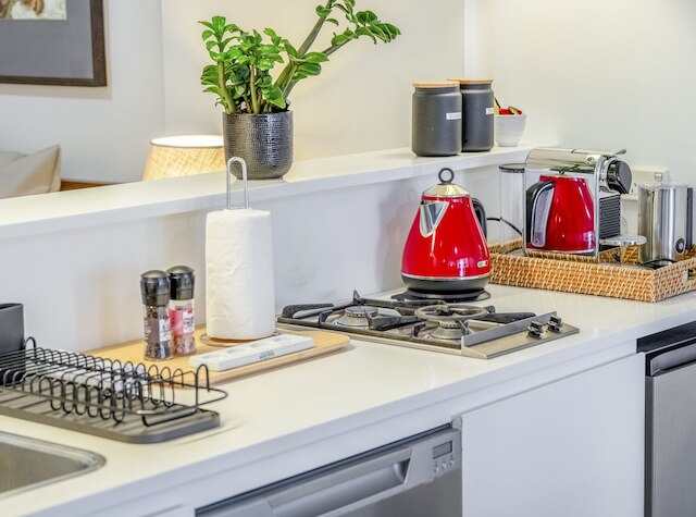 Kozyguru | バランガルー | ウォーターフロント ビューズ スタジオ