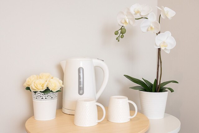 プライベート 2 レベルズ ダーリング ハーバー ICC