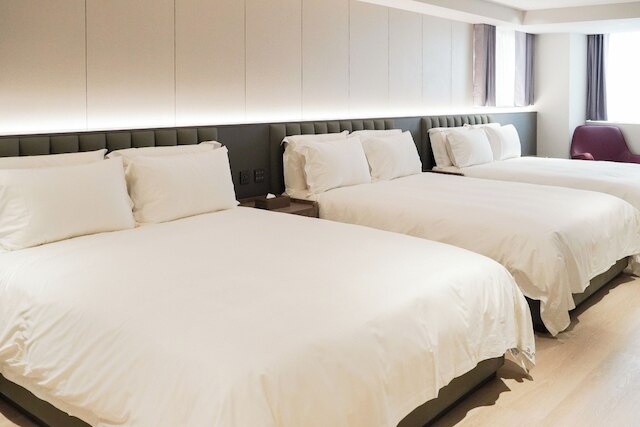 TALMUD HOTEL CLASSIC TAIWAN BOULEVARD