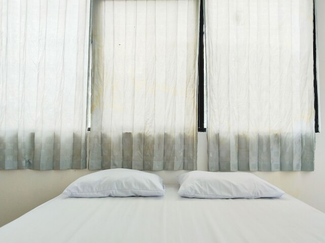 アメルタ ハウス パルメラ パワード バイ ココテル