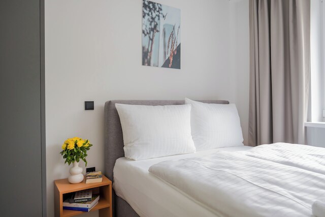 ホマリス アパートメンツ ニーベルンゲン