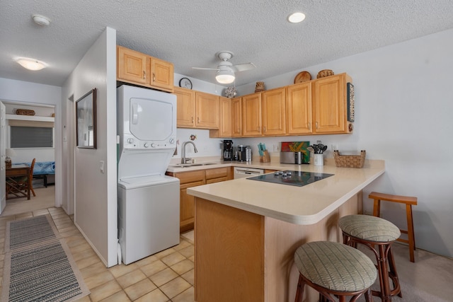 ビッグ アイランド コナ アイル E32 1 ベッドルーム コンド