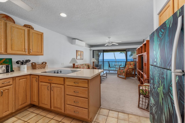 ビッグ アイランド コナ アイル E32 1 ベッドルーム コンド