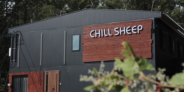 ChillSheep