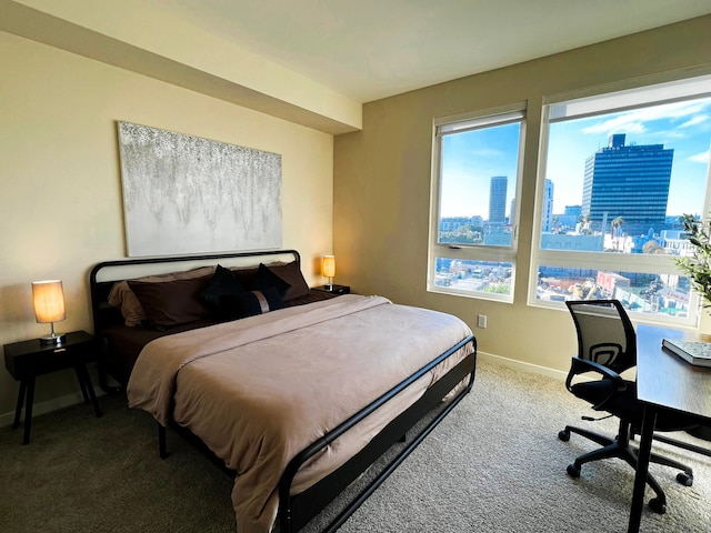 エレガント シティ エスケープ ジム プール 10 分 トゥ シダー