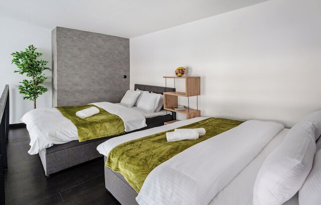 チャーミング ロフト ウィズ バルコニー