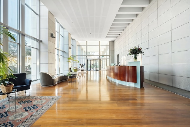 ネベ ツェデク パノラマ ステイ バイ シー アンド レント