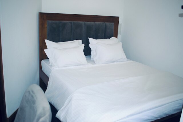 ビビッド コロンボ