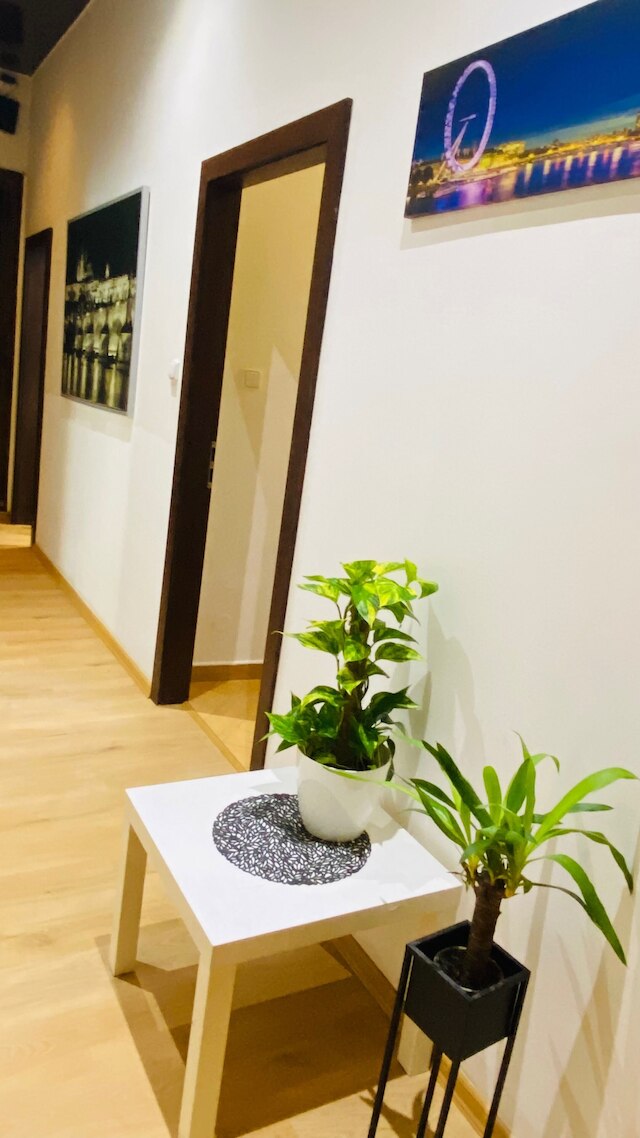 プラハ サービス アパートメント - セントラル スクエア ロケーション