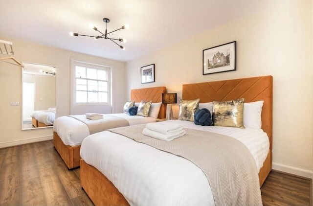 71 ロドニー バイ エリート