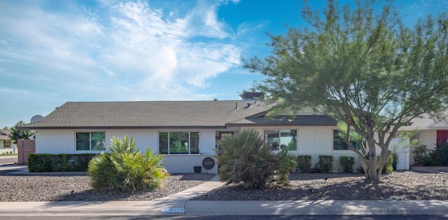 デザート オアシス リトリート プール スパ カシータ