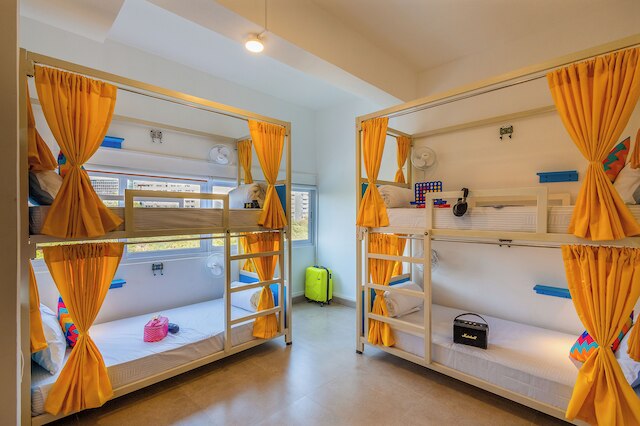 goSTOPS PLUS ゴア パナジ