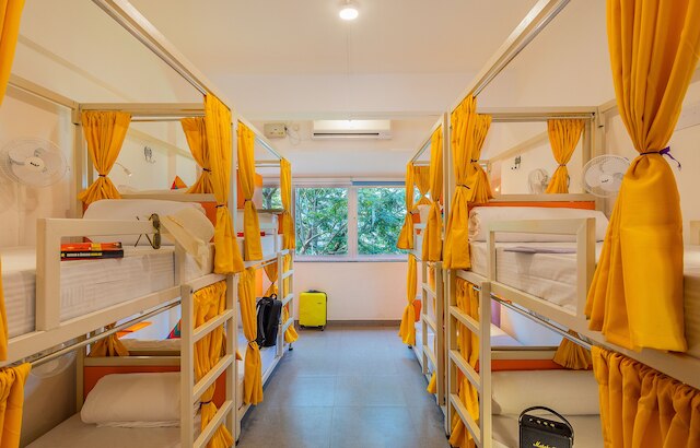 goSTOPS PLUS ゴア パナジ