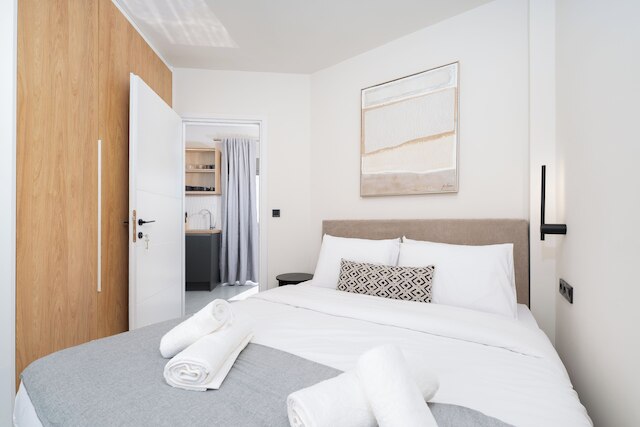 アクロポリス ビュー - スタイリッシュ シティ ペントハウス