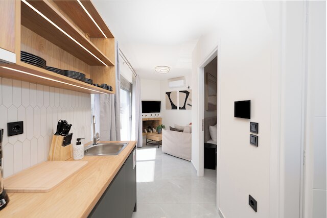 アクロポリス ビュー - スタイリッシュ シティ ペントハウス