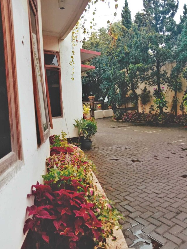 ピラトゥス オテル バンドン