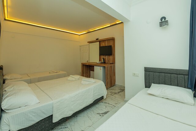 アリシュ ホテル フェティエ