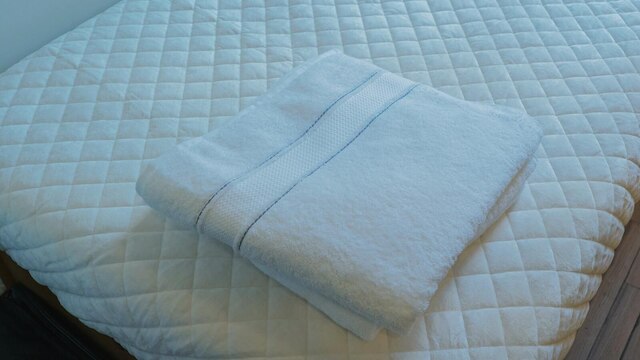 インターフェイス 21