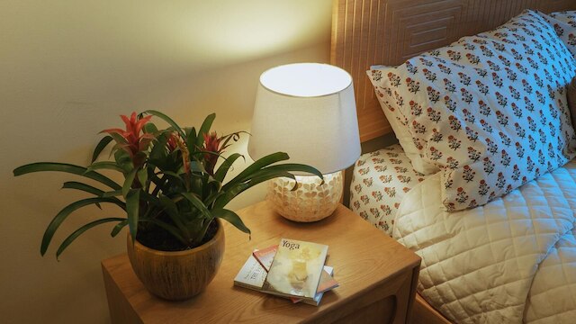 インターフェイス 21