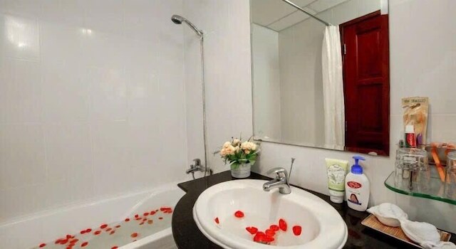 パラゴ mc ホテル パークビュー