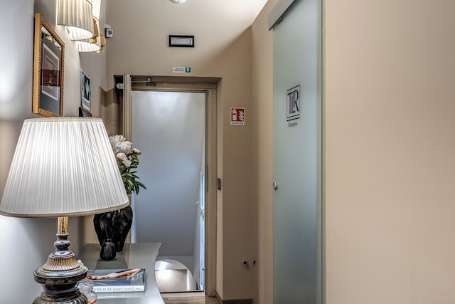 テリエ リペッタ