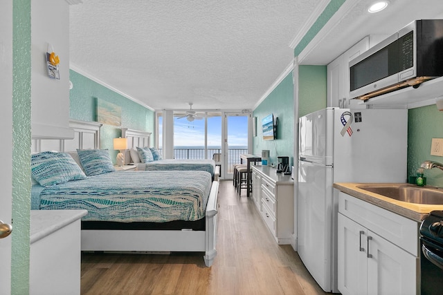 パイレーツ コーブ 221