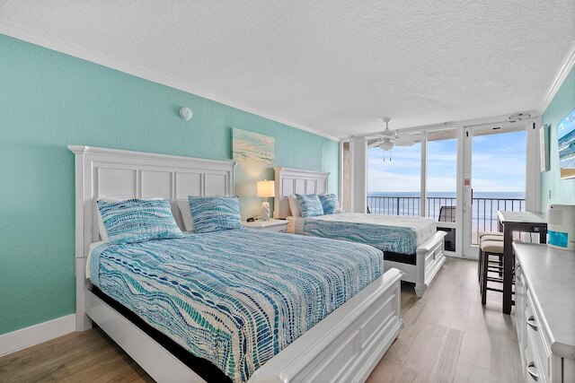 パイレーツ コーブ 221