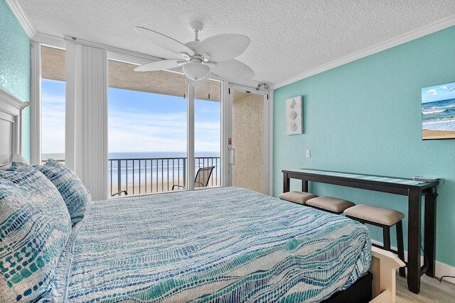 パイレーツ コーブ 221