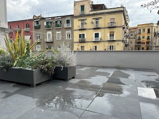 テラッツァ カルボナーラ B&B