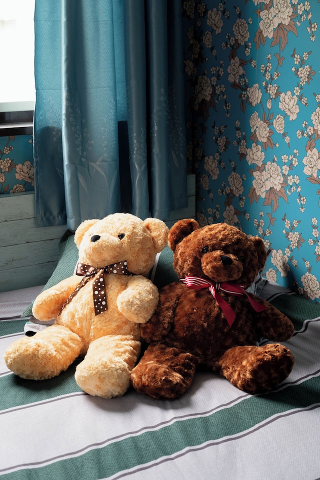 竹の荘ーイタリアンフォレスト民宿