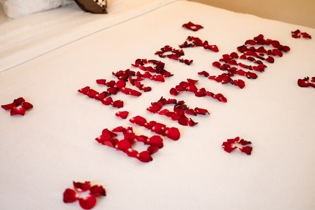 ウマ テムク ウブド