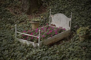 ルックアウト マウンテン イン