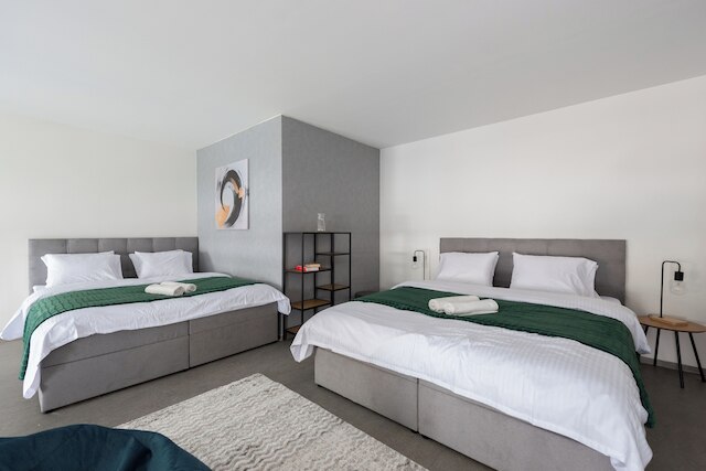 アパートメンツ ウィズ バルコニー ニア センター