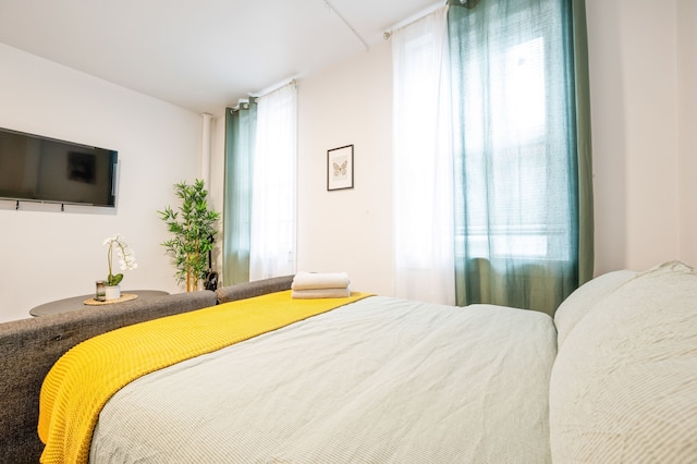 アメージング スタジオ イン キップス ベイ