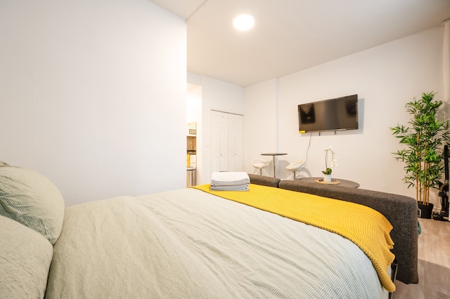 アメージング スタジオ イン キップス ベイ