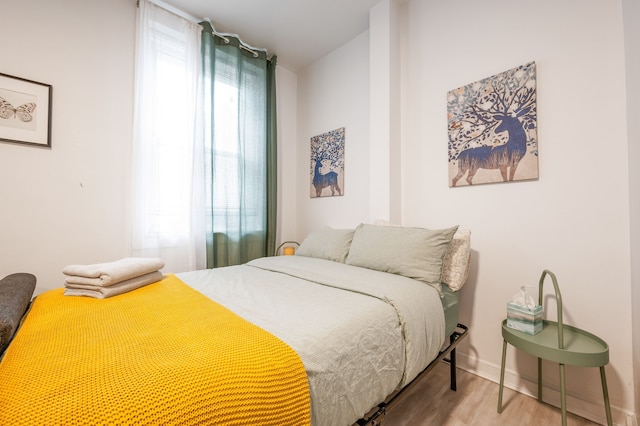 アメージング スタジオ イン キップス ベイ