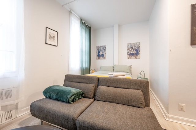 アメージング スタジオ イン キップス ベイ