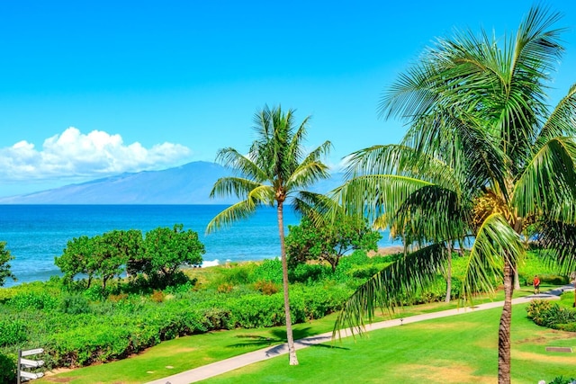 ホヌア カイ ホクラニ コレクション by KBM - 2 ユニット オン セイム フロア (201/204)