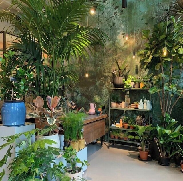 ダエンス グリーンハウス