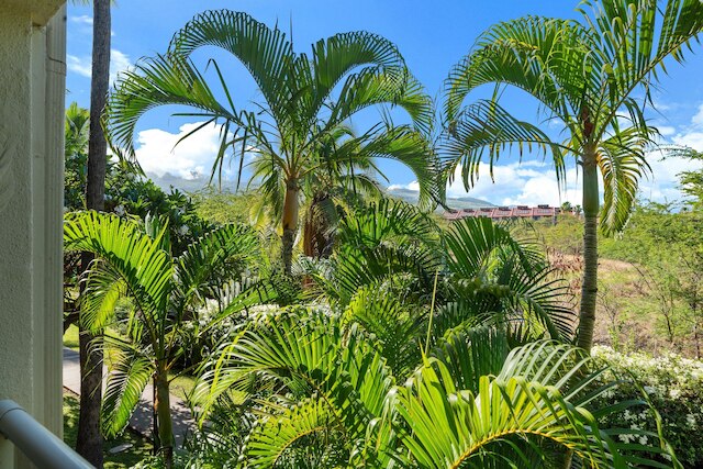 マウイ バニャン H207 イン キヘイ