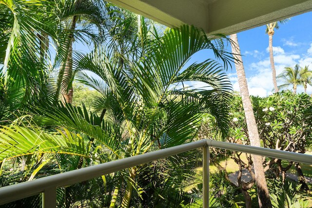 マウイ バニャン H207 イン キヘイ