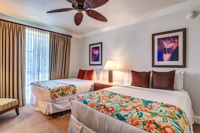 ホヌア カイ ホクラニ コレクション by KBM - 4 ユニット オン セイム フロア (201/203/211/222)