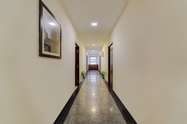 RG スイーツ ロヤペッタ