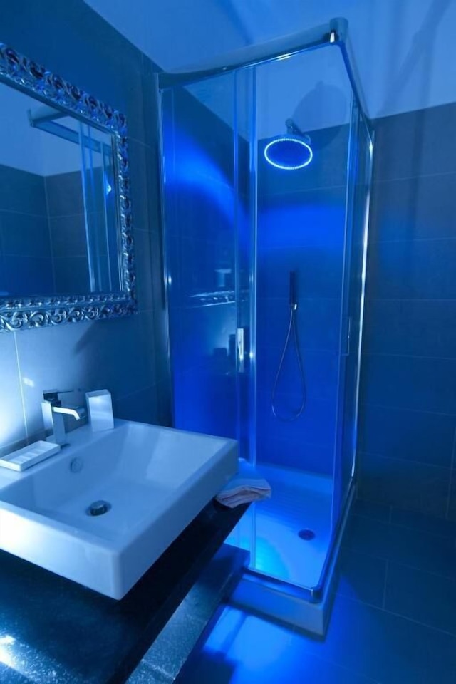 ドムス フォンティス