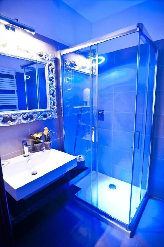 ドムス フォンティス